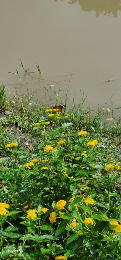Damodar River Retreat, Uluberia Uluberiya Kültér fotó